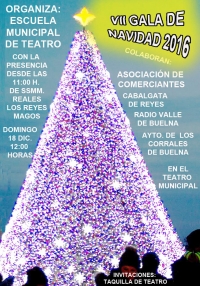 VII Gala de Navidad 2016